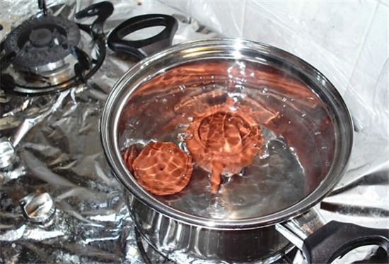 ɰղؼ